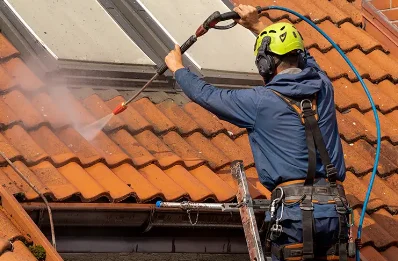 Démoussage et hydrofuge de toiture aux Trois-Domaines